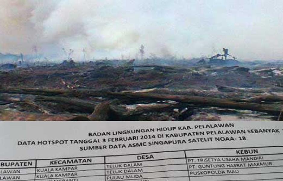 Hot Spot Terpantau di Areal Konservasi PT Arara Abadi