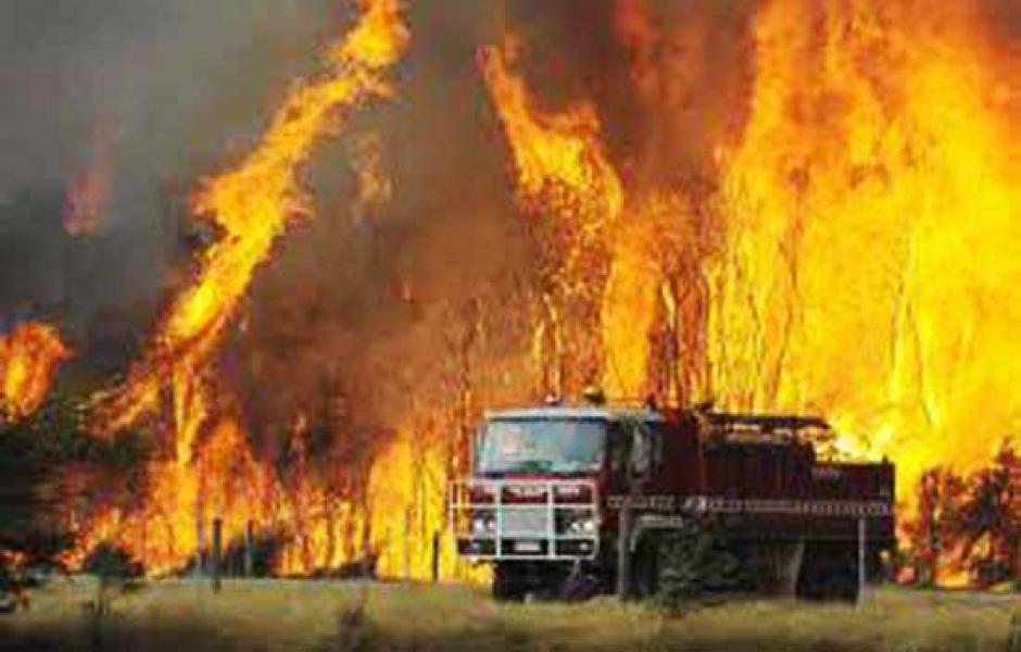 Kebakaran Besar di Bengkalis, Hotspot Riau Naik 168 Titik