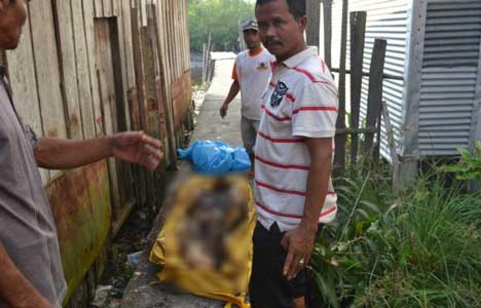 Nelayan Temukan Mayat Perempuan di Perairan Selat Malaka-Sinaboi