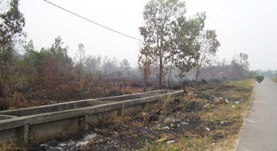 Pelalawan Diselimuti Asap, 9 Hot Spot Terpantau Satelit NOAA-18