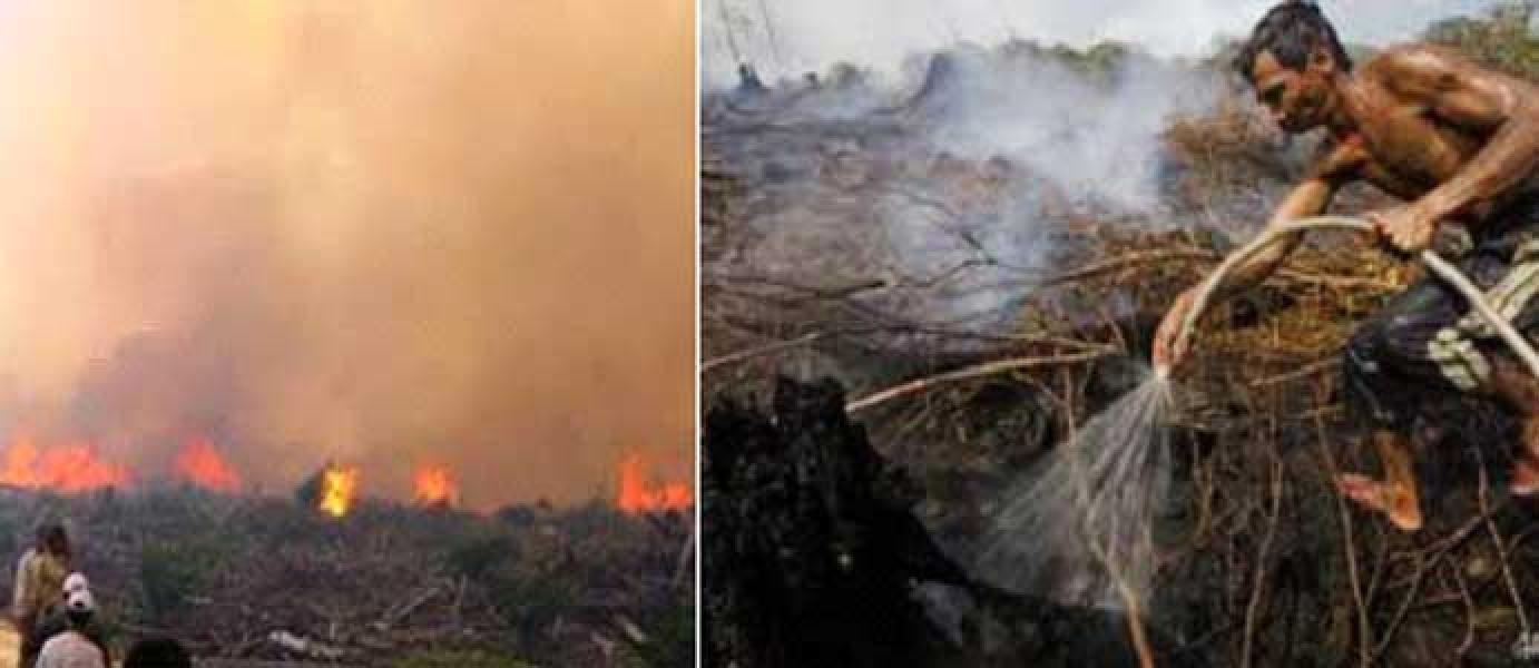 Petani Kep Meranti Pembakar Lahan Ditangkap Polisi