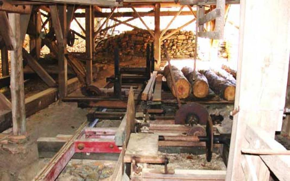 Sawmill di Buluh Rampai Belum Ditertibkan