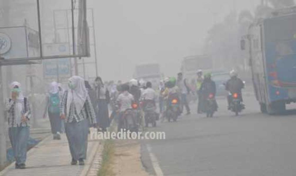 Tiga Langkah Pemkab Pelalawan Untuk Status Darurat Bencana Asap
