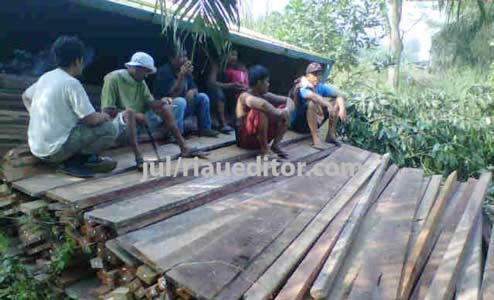 Truck Tak Bertuan  Diduga Angkut Kayu Ilegal Terbalik di KM 39 Pelalawan