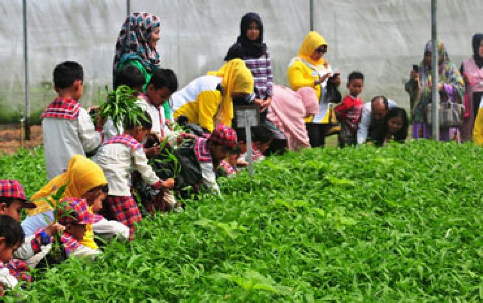 Anak-anak PAUD Pertiwi Bangkinang Belajar Bersama Alam