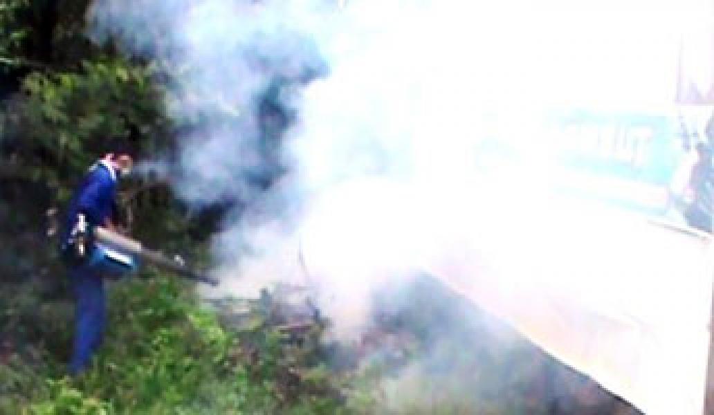 Atasi DBD, Kompak Akan Lakukan Fogging