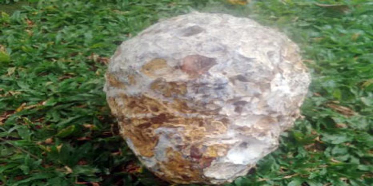 Batu Milik Asmar Ditawar Rp1 Miliar