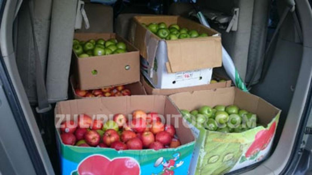 Disperindag Tarik Apel Granny Smith dan Red Delicios dari Ramayana