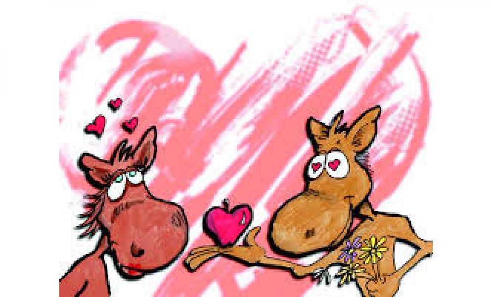 Kadisdikbud Siak Himbau Siswa Tidak Rayakan Valentines Day