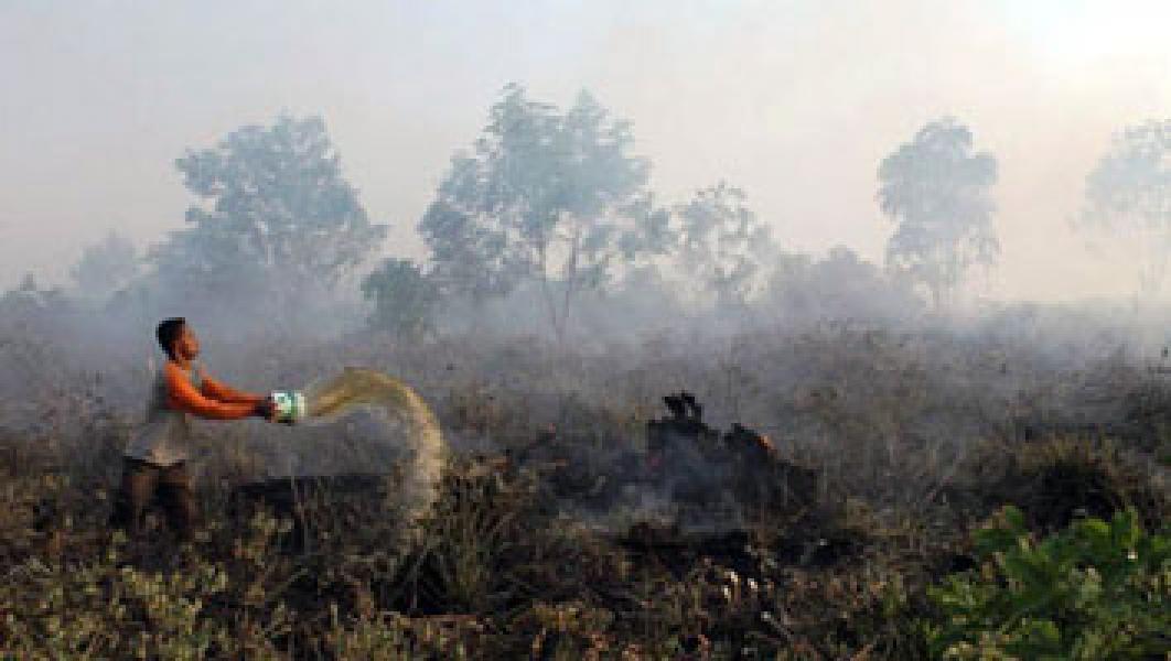 Memasuki Musim Kemarau, Sekda Minta BLH Riau Aktifkan MPA