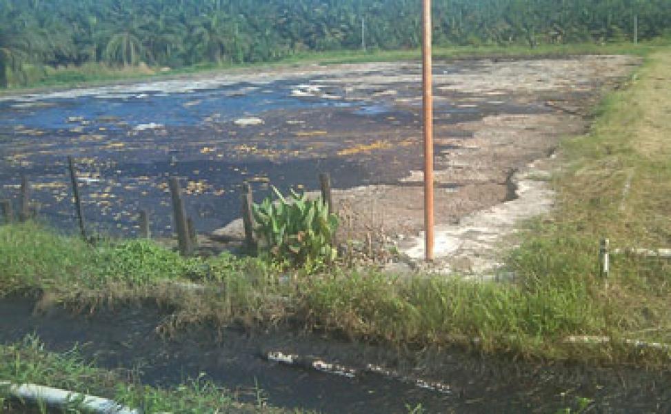 PKS PT. LBPI Beroperasi Tanpa Memiliki Standarisasi Kolam IPAL