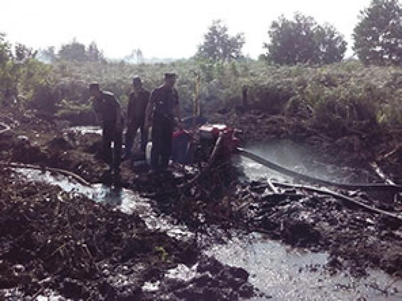 Tim Karhutla Dishut Riau Berhasil Padamkan Titik Api di Dua Desa Bukit Batu Bengkalis