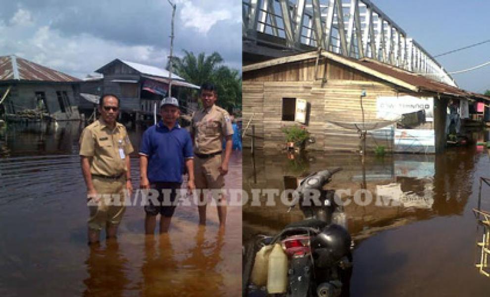 2410 unit Rumah Warga di Kabupaten Pelalawan Terendam Banjir