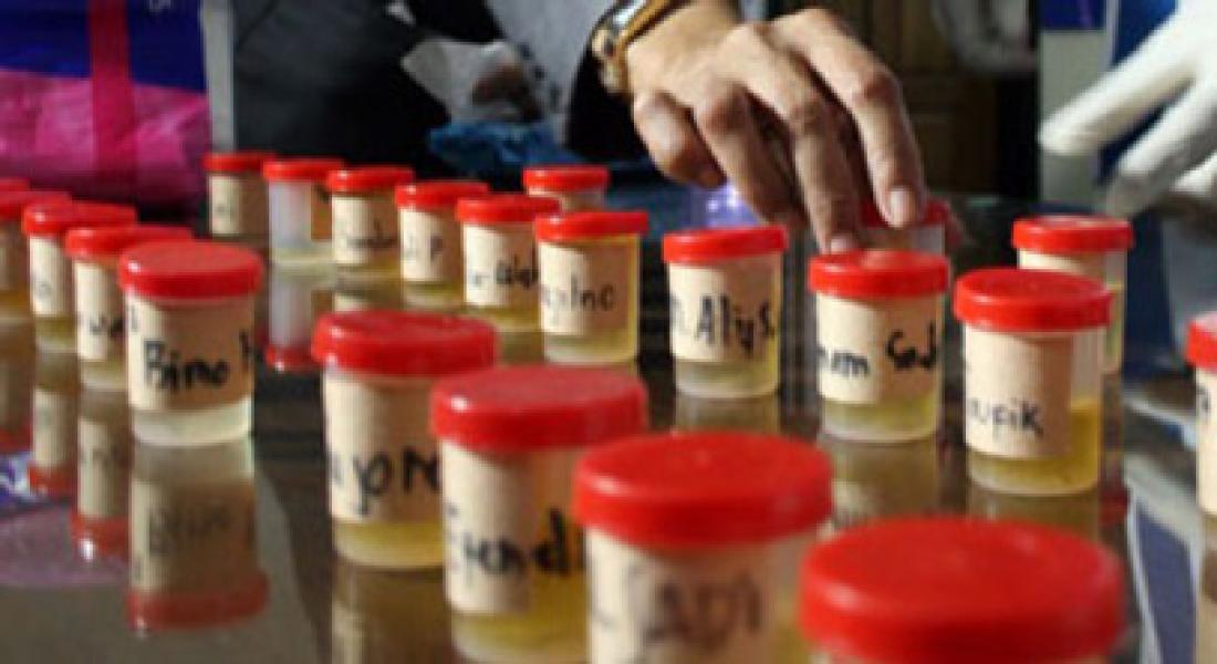 40 Honorer Satpol PP Rohil akan Lakukan Test Urin