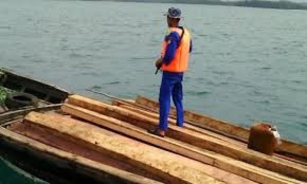 Ditpolair Polda Riau Amankan 10 Ton Kayu Meranti Campuran Ilegal