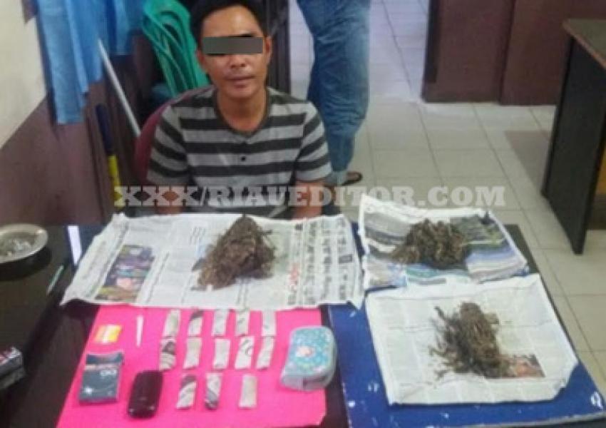 Edarkan Ganja, PNS Damkar Inhil Dibekuk Polisi