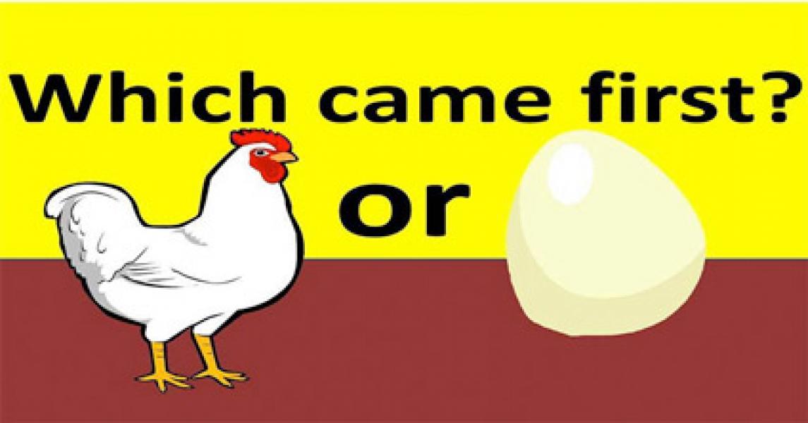 Ini Jawaban Teka Teki, Ayam atau Telur Lebih Dahulu?