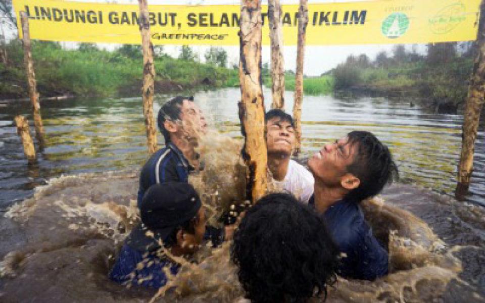 JMGR Taja Raker Kebijakan Restorasi Gambut yang Partisipatif dan Kepastian Hak