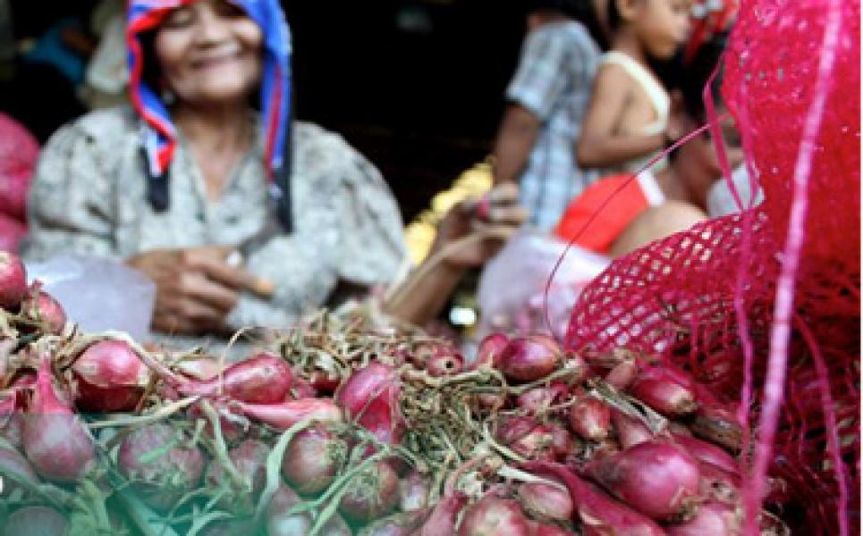 Kementan Pastikan Tak Izinkan Impor Bawang