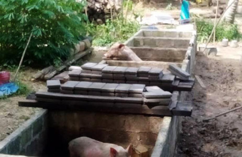 Konflik Warga Tanah Merah Akibat Keberadaan Kandang Babi Kian Memanas