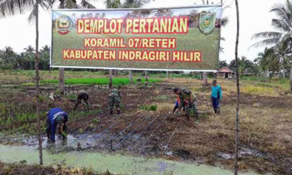 Koramil 07/Reteh Laksanakan Penanaman Padi Bersama Koptan Legowo