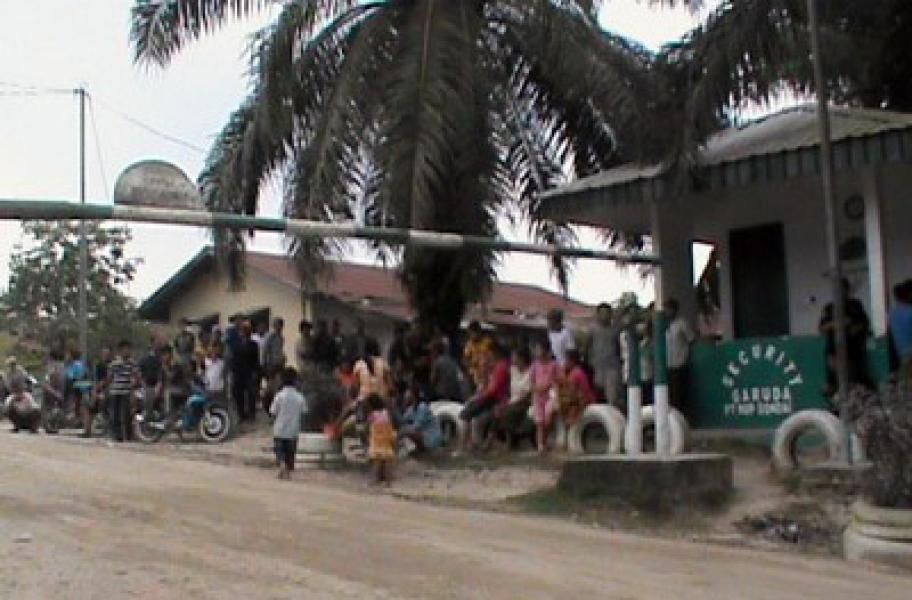 PT MUP Tak Kantongi IMB dan Tak Komit Atasi Karhutla, Camat Langgam Lapor PT MUP ke Bupati
