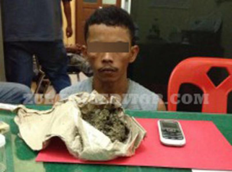 Simpan Satu Bungkus Ganja, TS Diciduk Polres Pelalawan