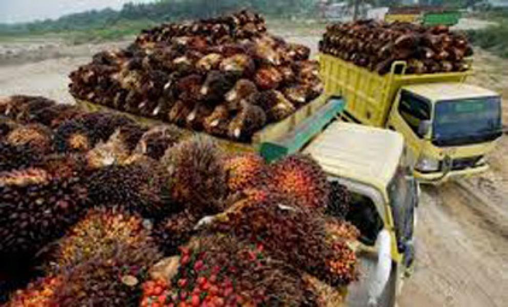 Suplayer Tolak Buka Gembok PT LBPI