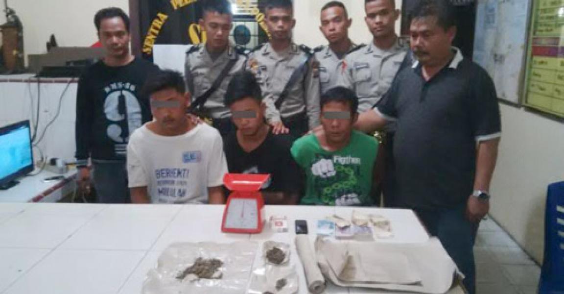 Tiga Pengedar Ganja Kering Diringkus Polsek Bunut
