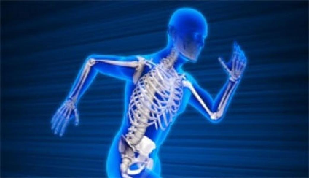 Alquran dan Sains Jelaskan Keajaiban Tulang Manusia