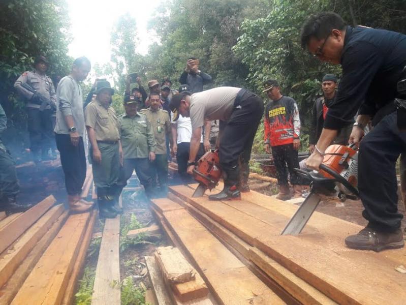 Kapolda Riau, Saya Akan Tindak Tegas Pelaku Pembalakan Liar di Cagar Biosfer Giam Siak Kecil-Bukit Batu