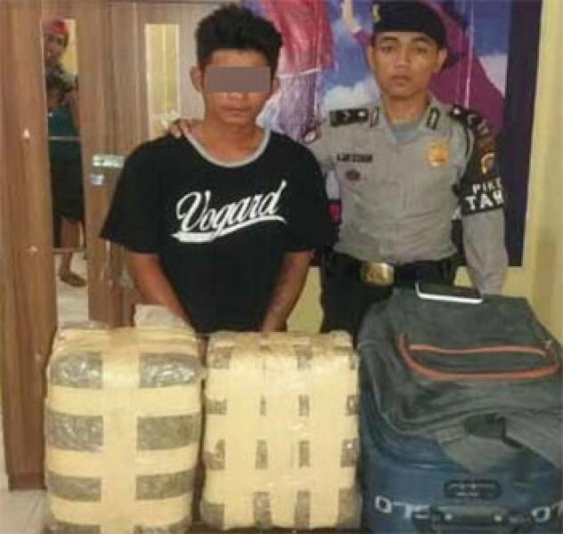 Polres Rohil Gagalkan Peredaran Ganja 8 Kg 