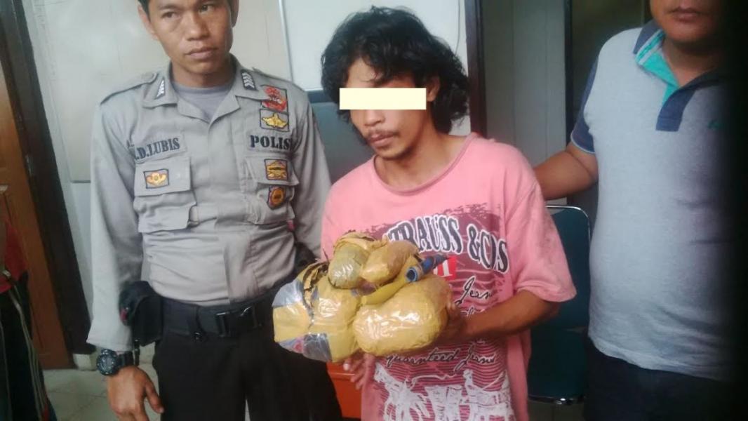 Polsek Pangkalan Lesung, Resor Pelalawan Gagalkan Peredaran Ganja 1,7 Kg
