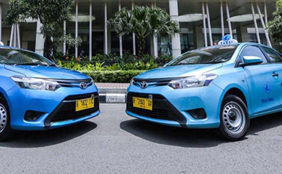 Ancang-Ancang Blue Bird Hadapi Transportasi Online
