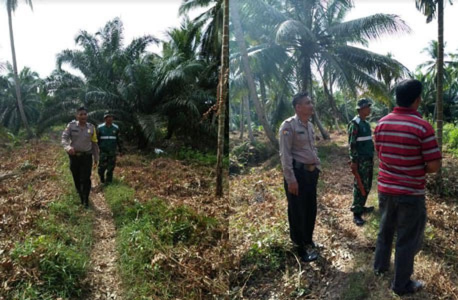 Babinsa Bagan Jaya Koramil 02/Tanah Merah Patroli Karhutla