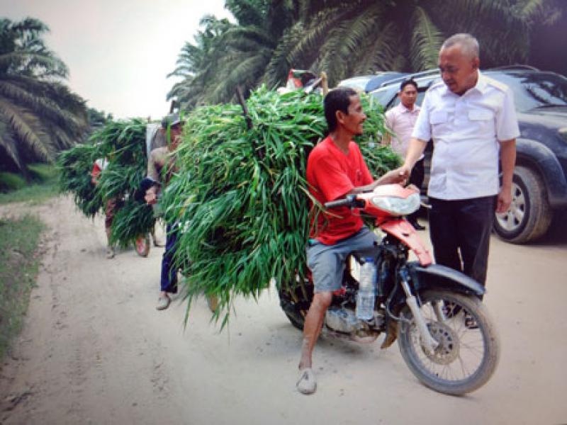 Cagub Andi Rachman Bertemu Pejuang Riau Menuju Swasembada Daging 