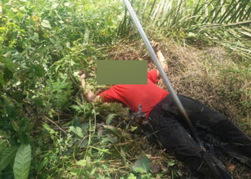 Karyawan PT Inti Indosawit Subur Tewas Tersengat Listrik