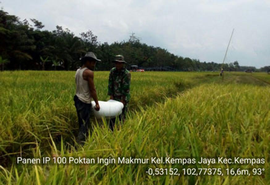 Koramil 03/Tempuling Dan Bulog Gencar Lakukan Sergap Di Kempas Jaya