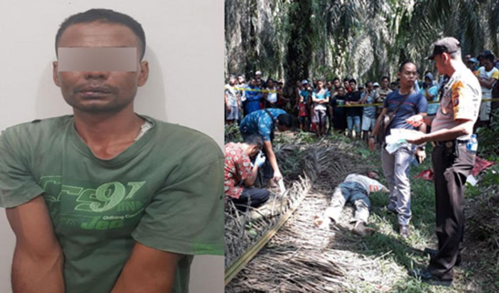 Kurang 1X24 Jam, Polisi Tangkap Pelaku Pembunuhan Berencana di Tapung