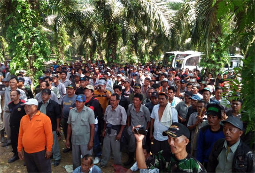 PTPN V Tanggapi Perintah Eksekusi PN Bangkinang