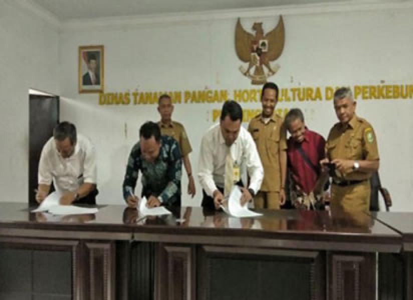 Poktan Setia Rukun Dayun Terima Hibah Replanting 25 Juta per Hektar