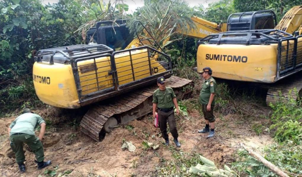 BB Tak Disita, Dewan Kecam Sikap DLHK Riau