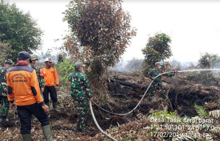 Hutan Gambut Tasik Serai Terbakar, Koramil Mandau Bersama Tim Gabungan Lakukan Pemadaman