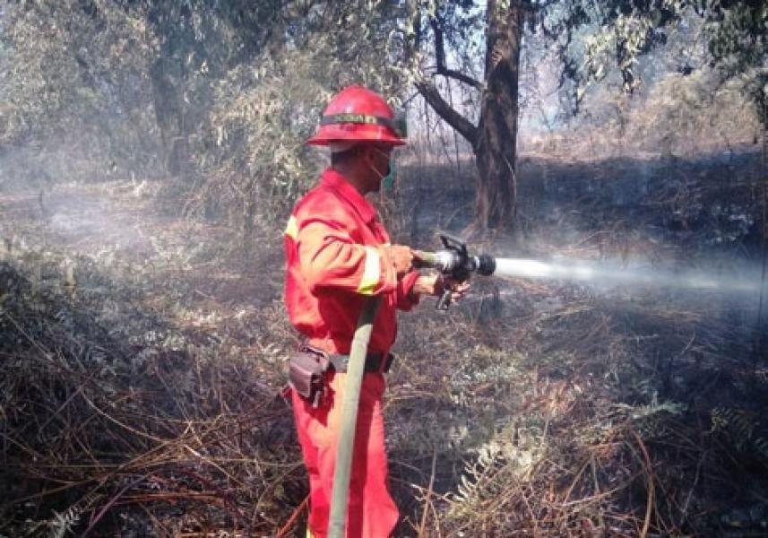 Alat Berat dan Heli Dikerahkan Padamkan Karhutla di Mengkapan Siak