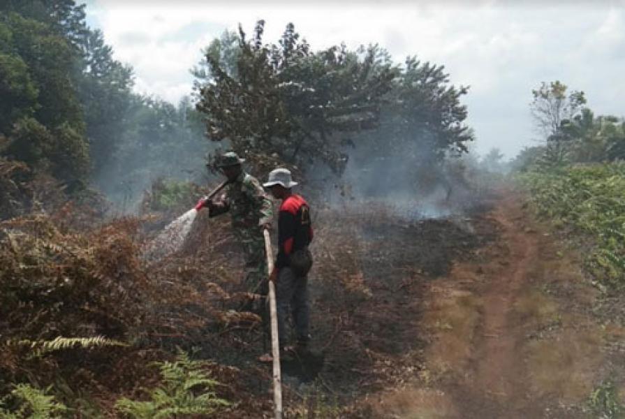 Koramil 15/Kuala Kampar Kodim 0313/Kpr Lakukan Pemadaman Dini Karhutla