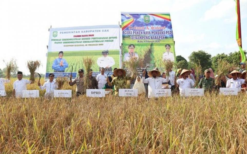 Miliki 4.200 Hektare Lahan Persawahan, Alfedri: Baru Memenuhi 75 persen Kebutuhan Beras Kabupaten Siak