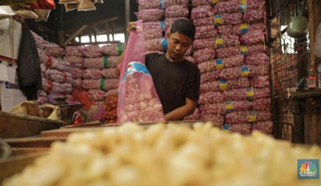 Pasar Panik! Harga Bawang Terbang, Importir Simpan Stok
