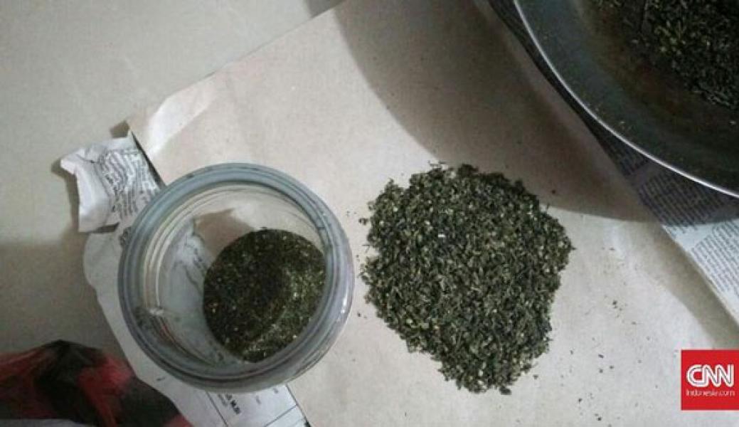 Polres Siak Amankan Komplotan Jaringan Pengedar Ganja Kering 