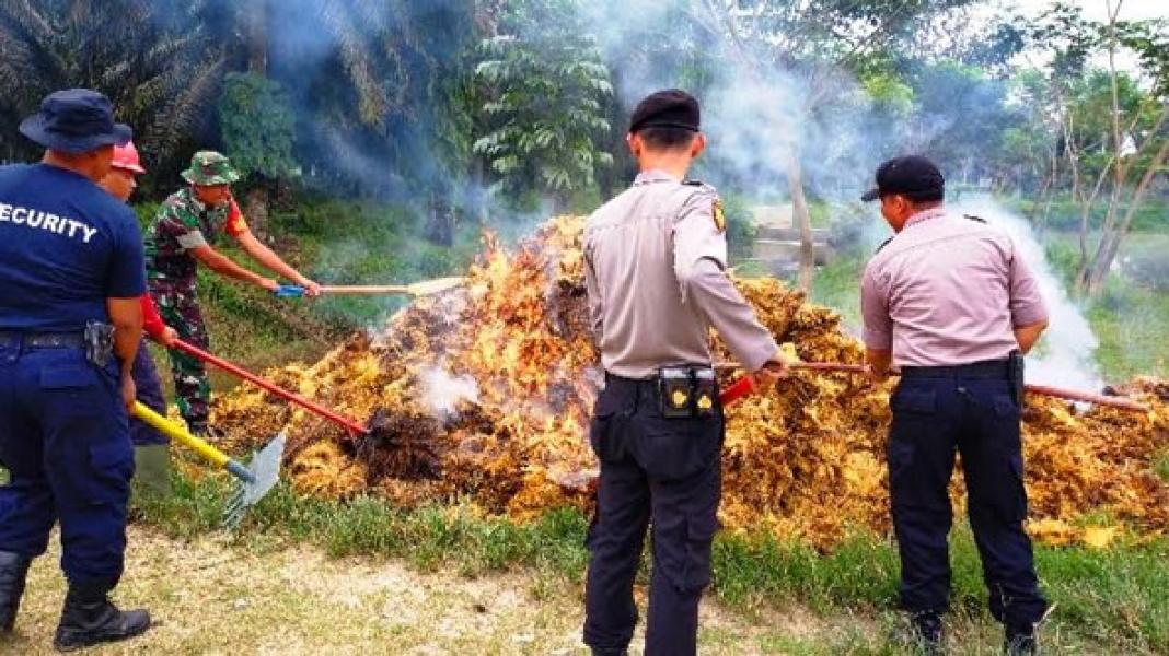 Polsek Rambah Samo bersama Koramil 02 Rambah Gelar Simulasi Terpadu Tangulangi Karhutla