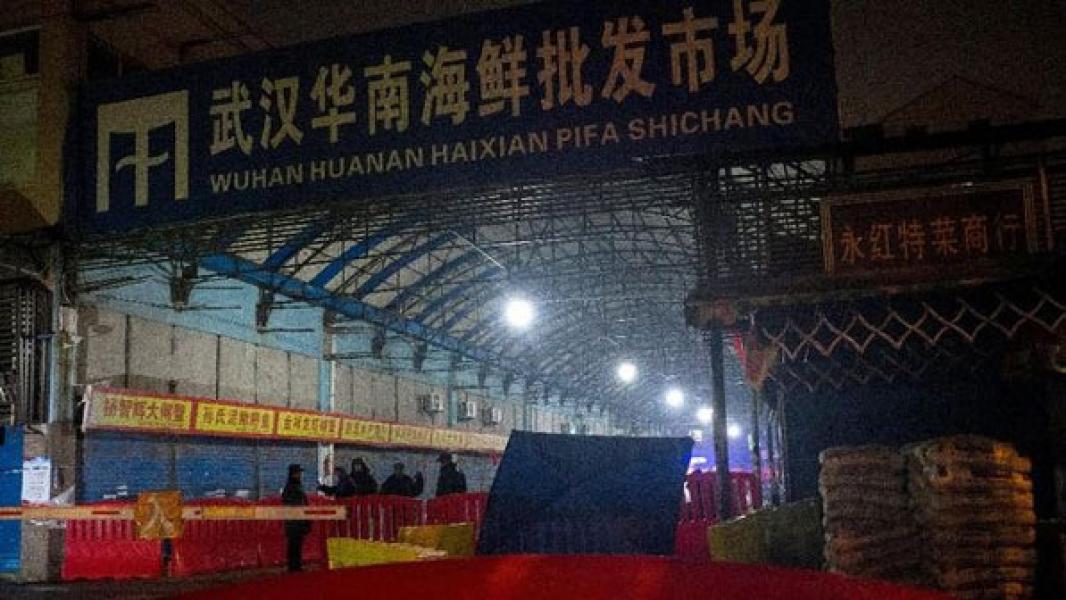 Studi: Virus Corona Tak Berasal dari Pasar Seafood Wuhan